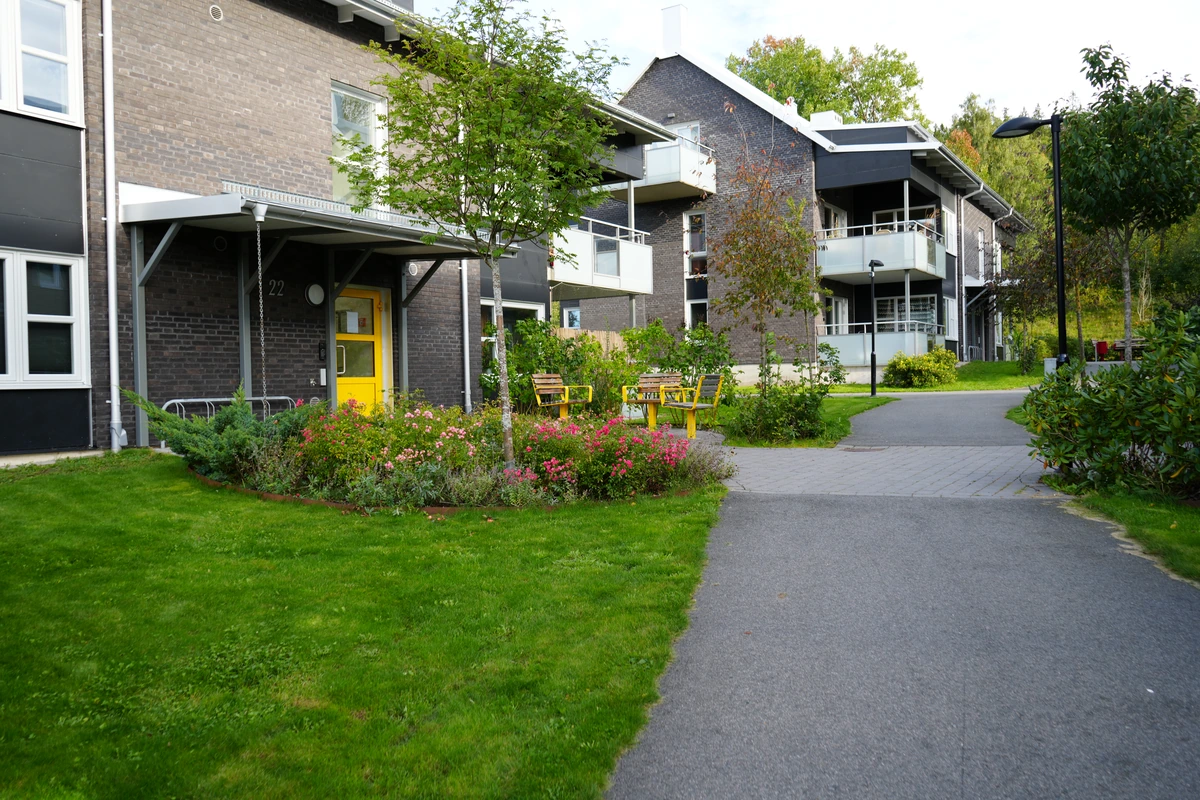 Vejden